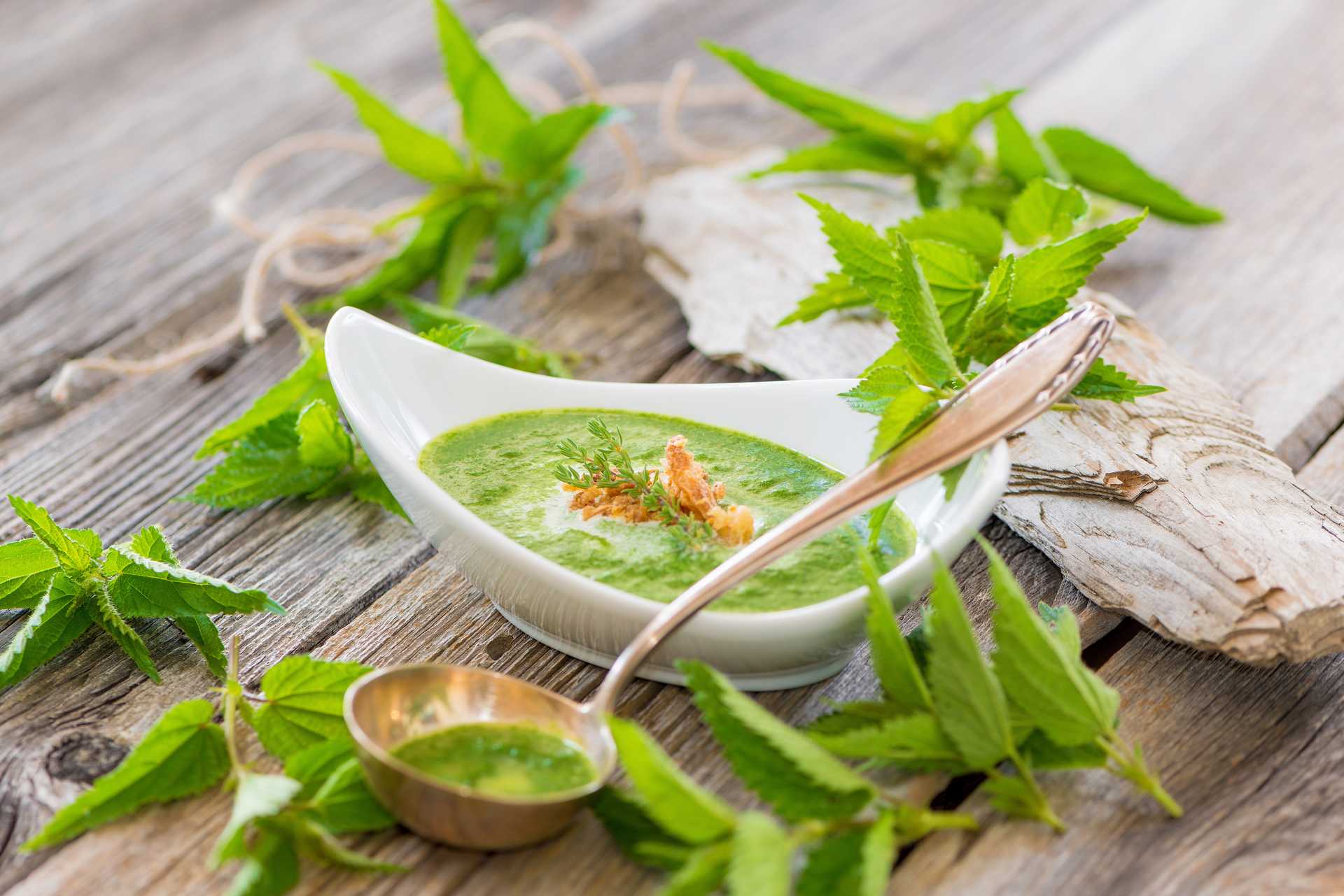 Brennnesselsuppe – Blutspendezentren Duisburg, Oberhausen ...